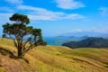 Coromandel Peninsula